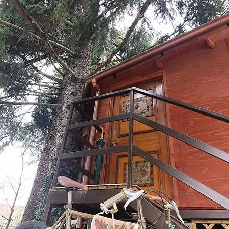 Casetta Sull'albero 3*