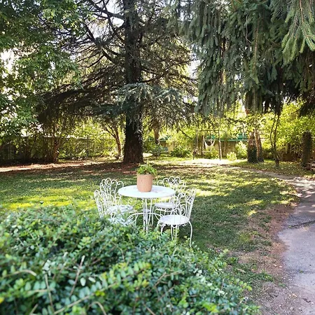 Casetta Sull'albero 3*