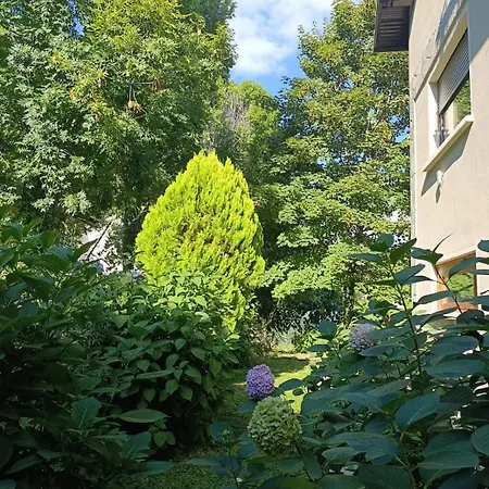 Casetta Sull'albero بيت ضيافة بورغو سان دالمازو