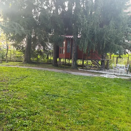 بيت ضيافة Casetta Sull'albero بورغو سان دالمازو